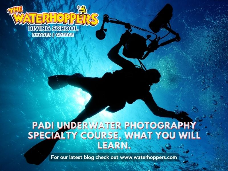PADI Underwater Photography Specialty course, what you will learn.
